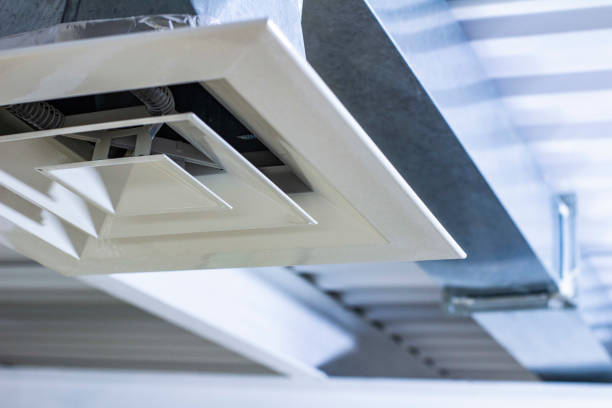 Best HVAC Duct Inspection Services  in Imlay City, MI