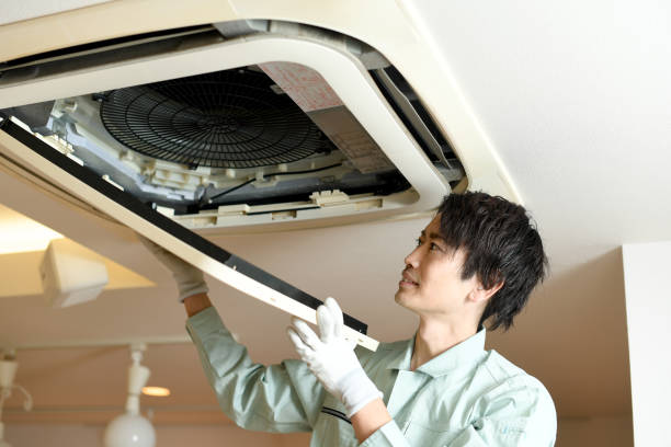 Best Emergency Air Duct Cleaning  in Imlay City, MI