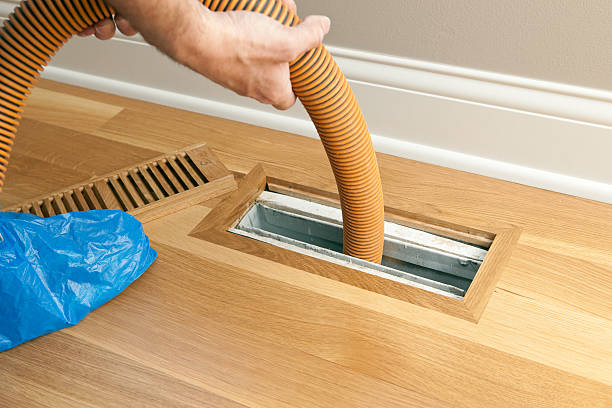 Best Air Duct Cleaning Cost  in Imlay City, MI