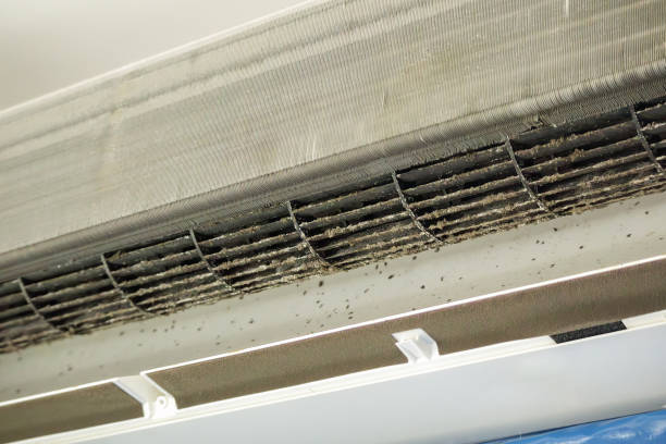 Best Affordable Air Duct Cleaning  in Imlay City, MI
