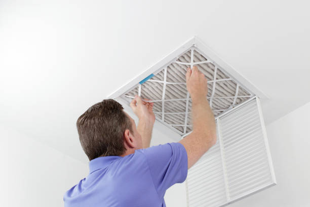 Best Emergency Air Duct Cleaning  in Imlay City, MI